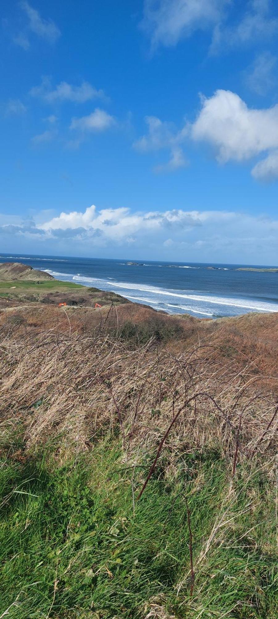 Braeside B&B Bushmills Bagian luar foto